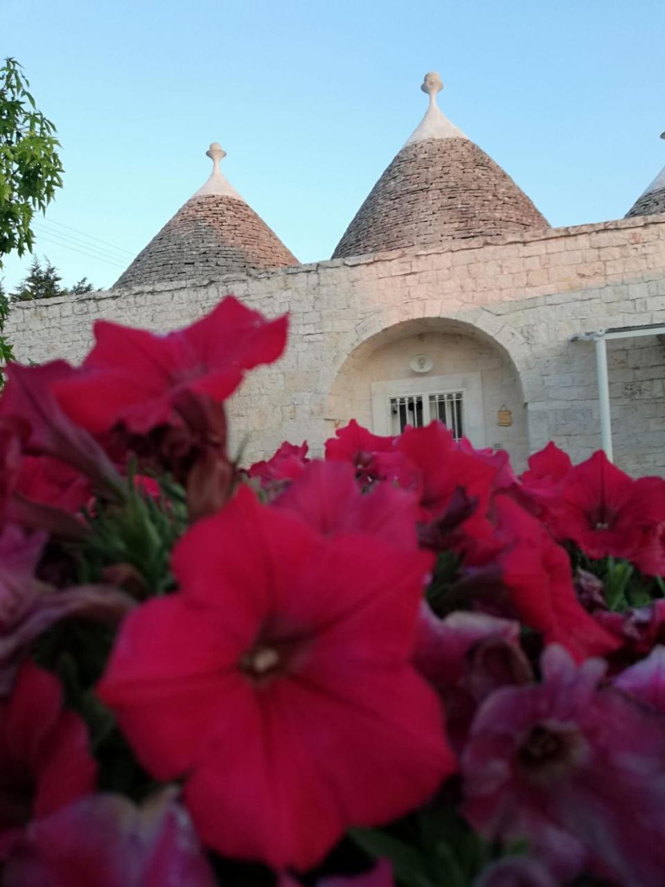 Antiche Dimore Terrarossa Alberobello Exteriör bild